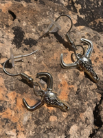 Fashion Earrings
