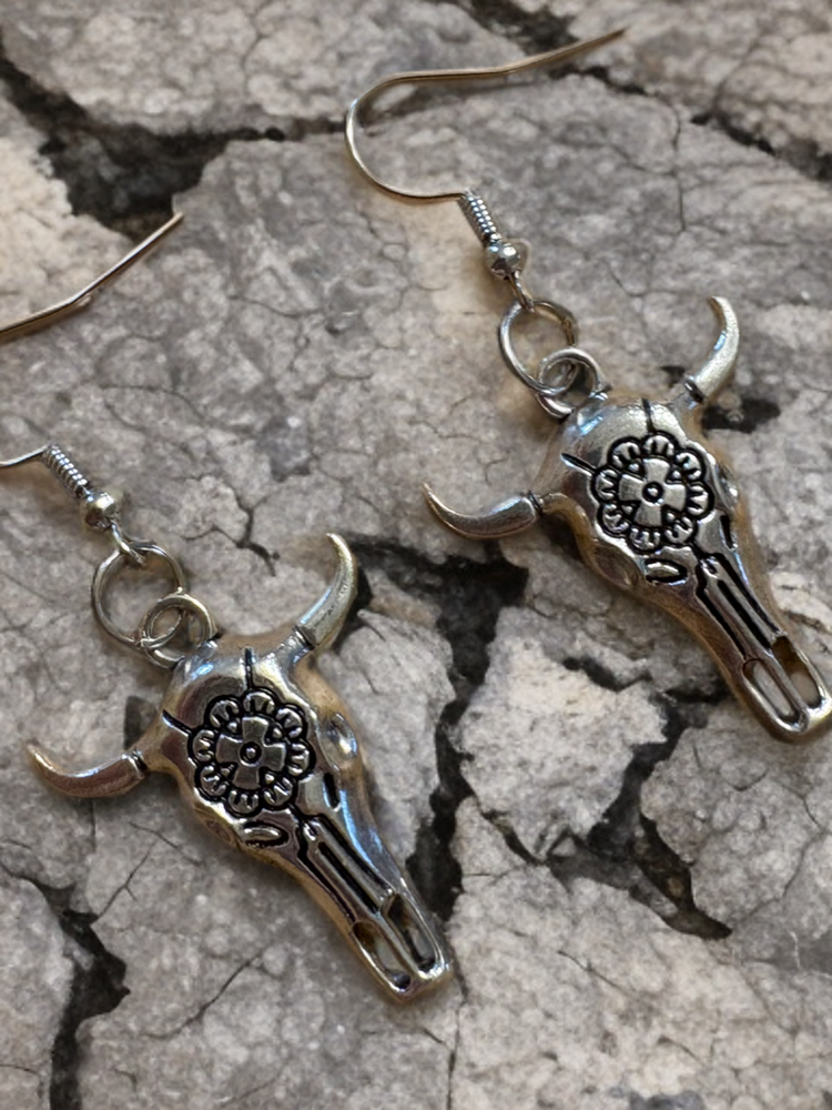 Fashion Earrings