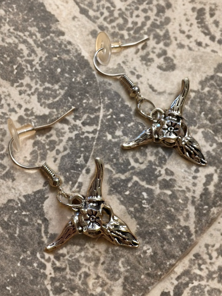 Fashion Earrings